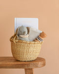 Newborn Gift Basket Set