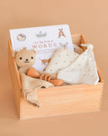 Newborn Gift Box Set