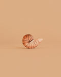 Bumbu Handmade Wooden Spiral Shell