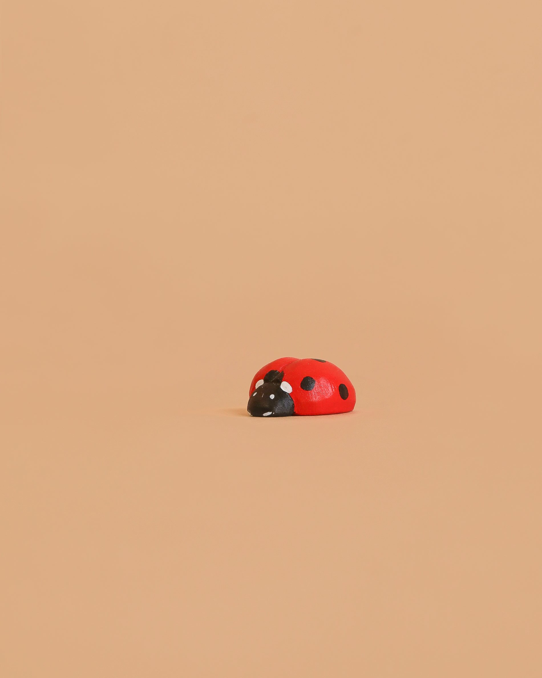 Bumbu Handmade Wooden Ladybug