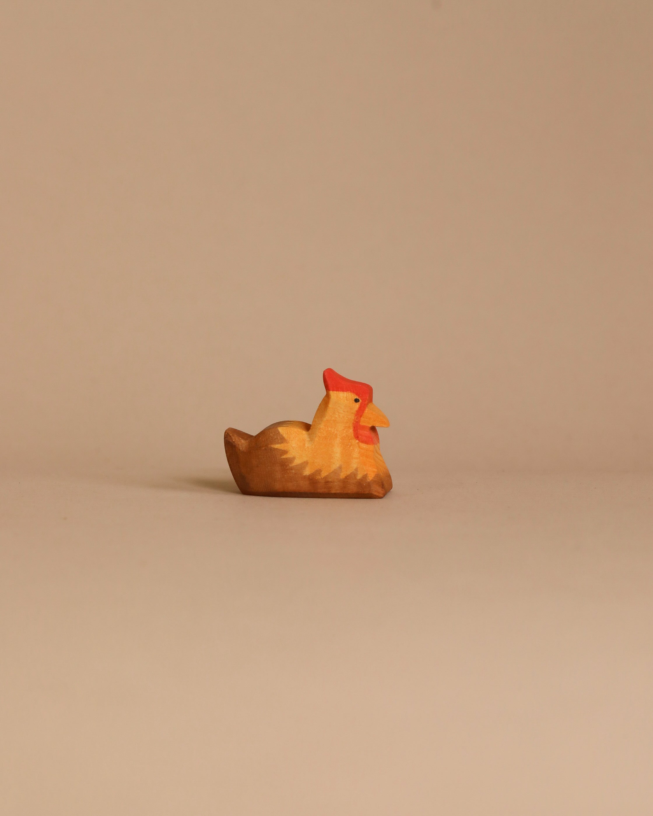 Ostheimer Hen Brown On Nest