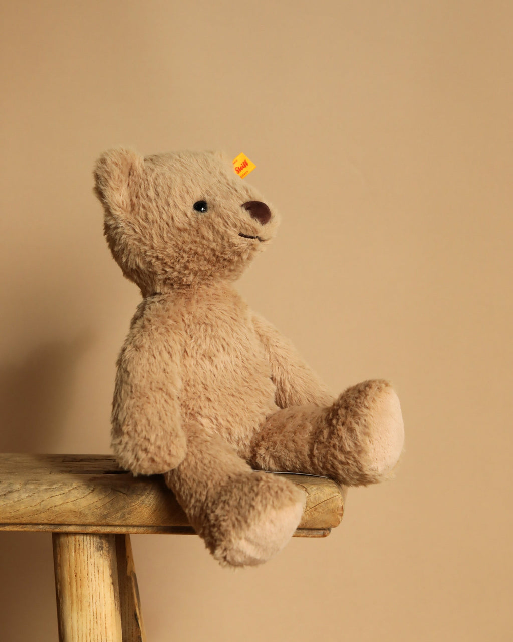 Steiff Thommy Teddy Bear, 12 Inches