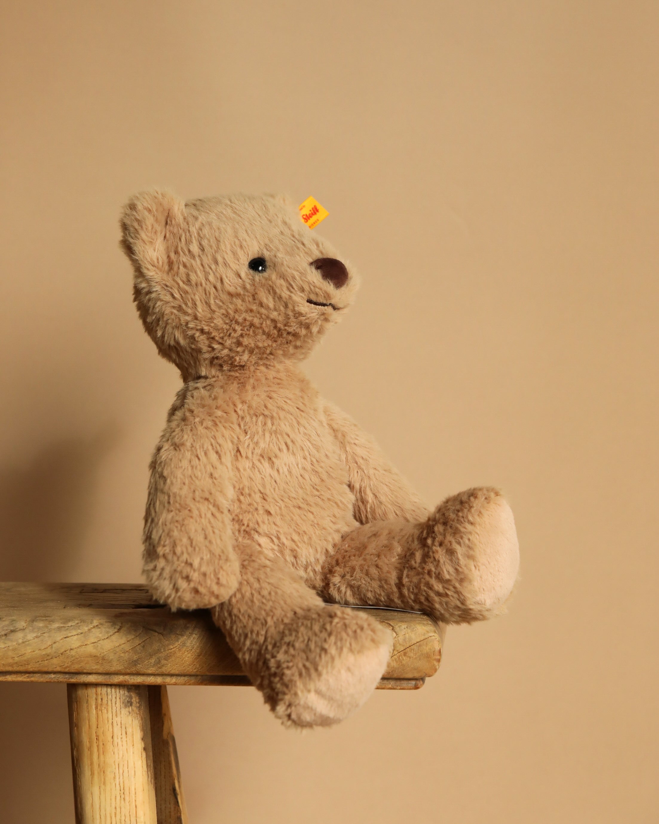 Steiff Thommy Teddy Bear, 12 Inches
