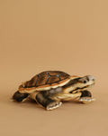 River Turtle Stuffed Animal