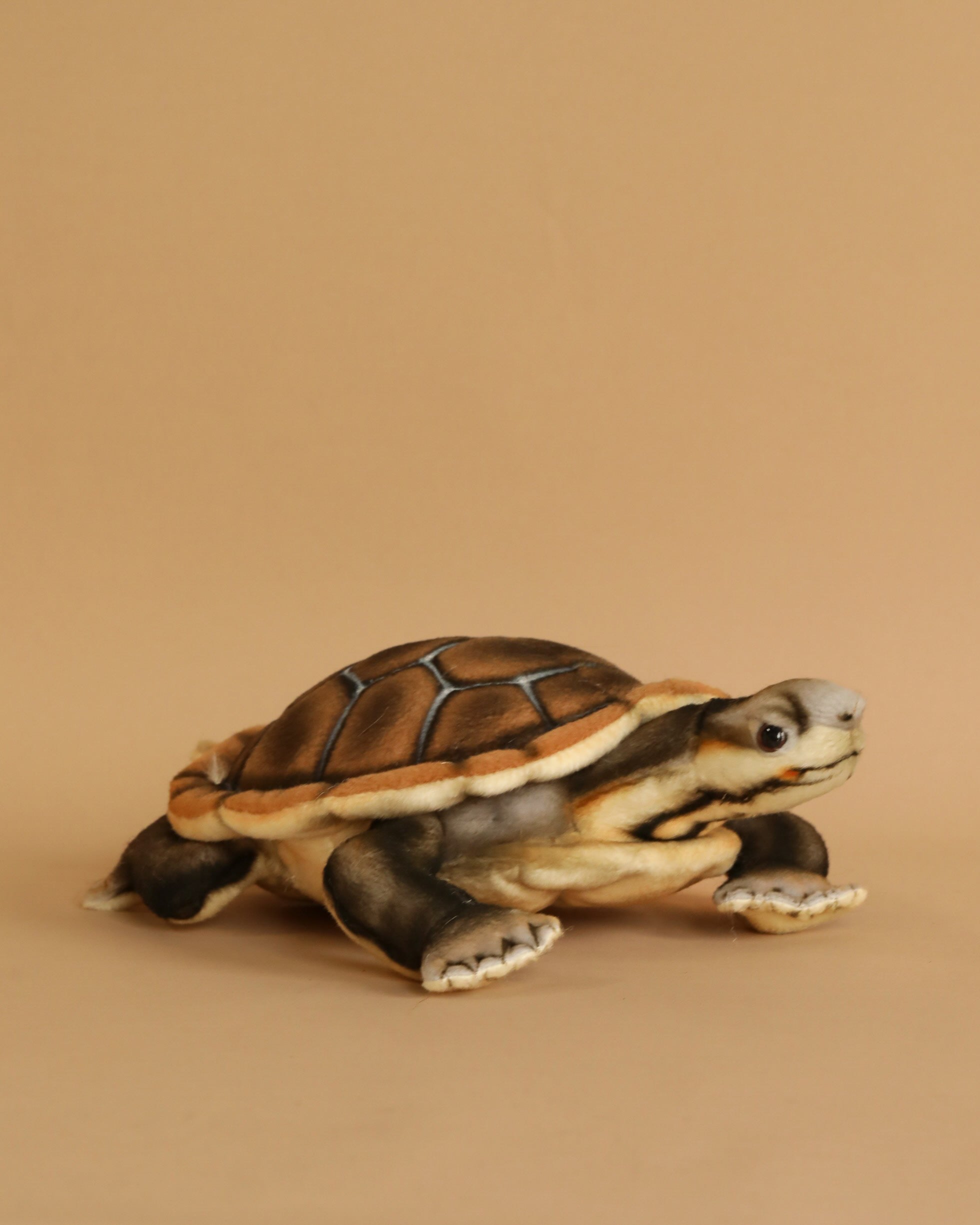 River Turtle Stuffed Animal