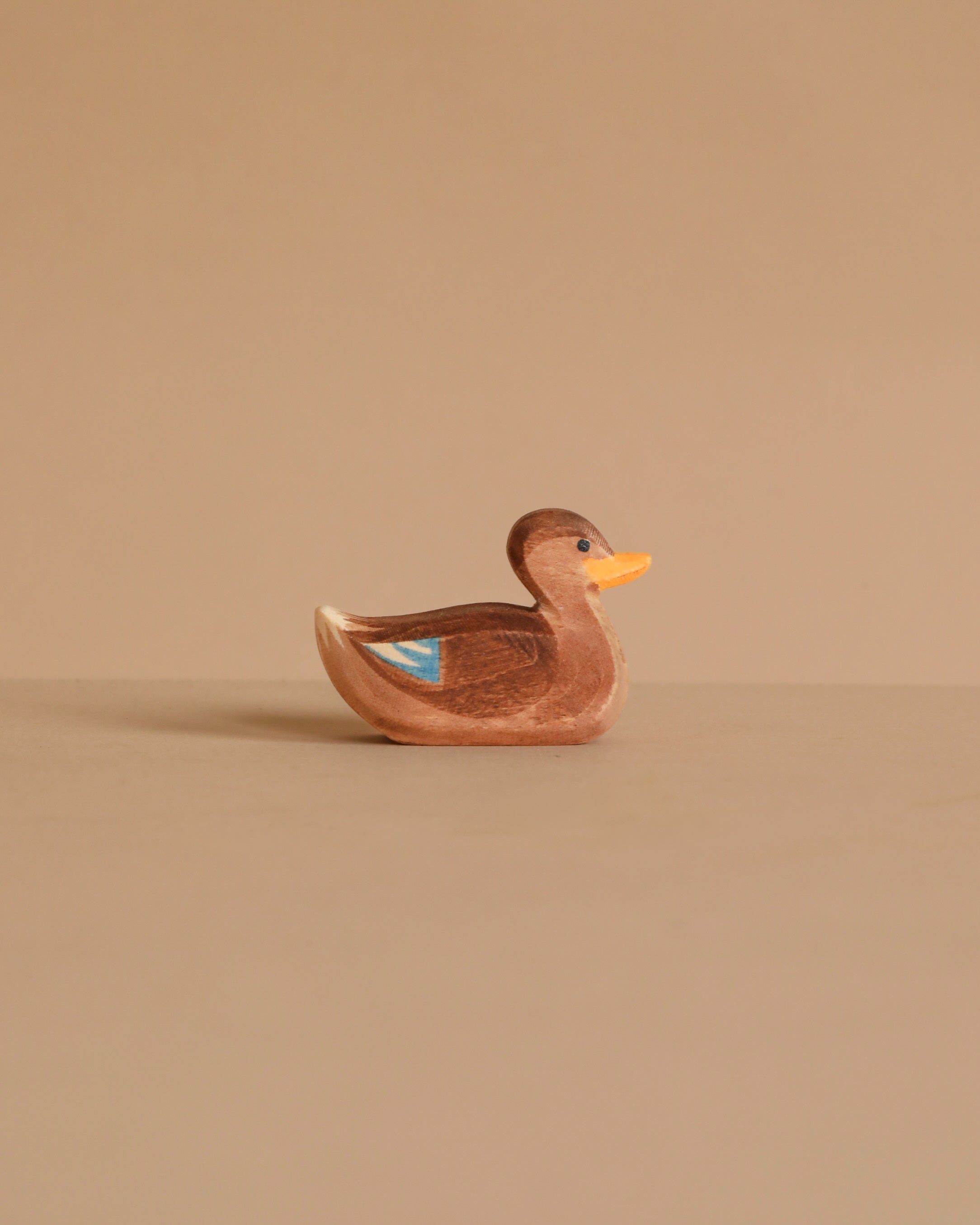 Ostheimer Duck, Swimming