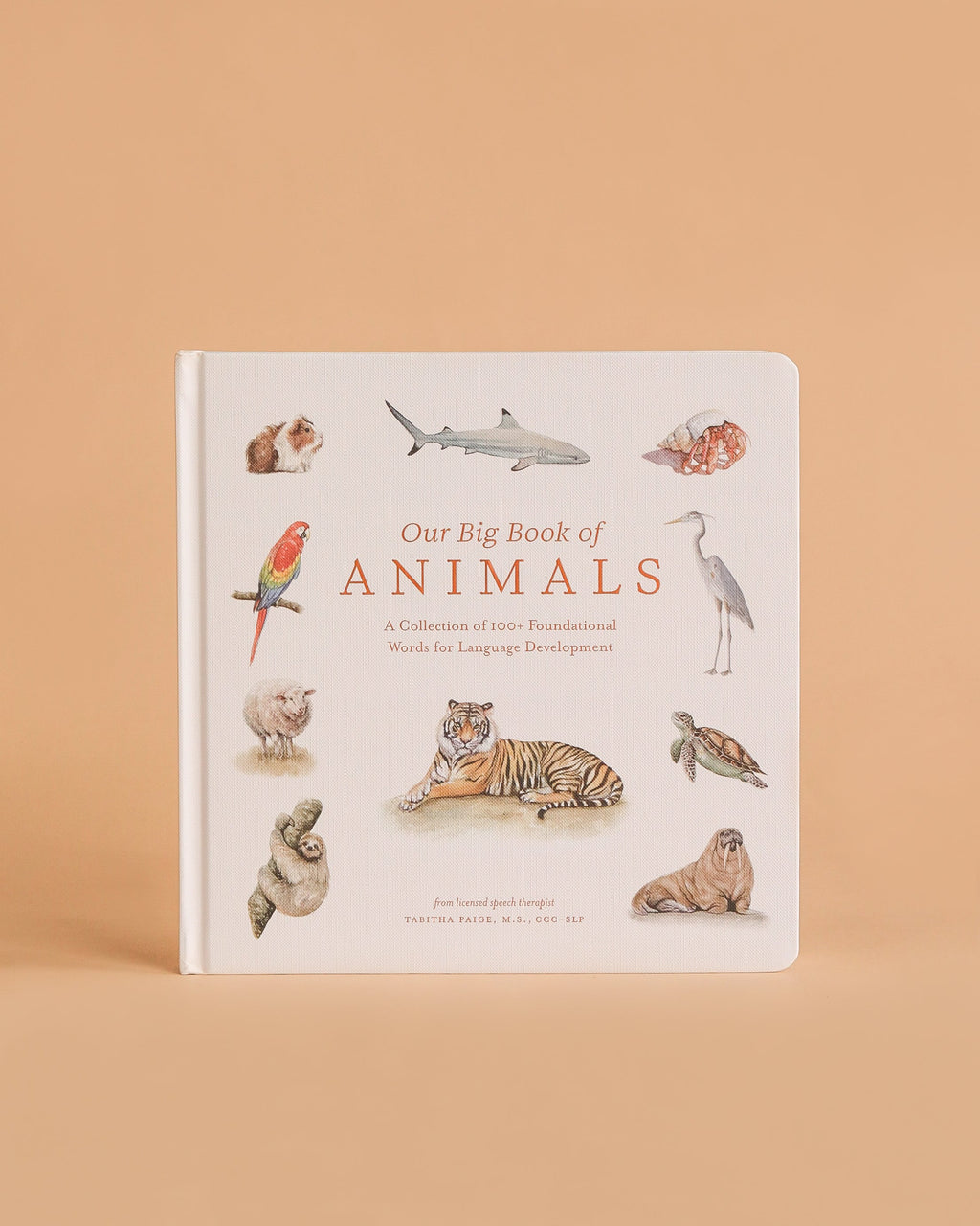 Our Big Book of Animals (Board Book)
