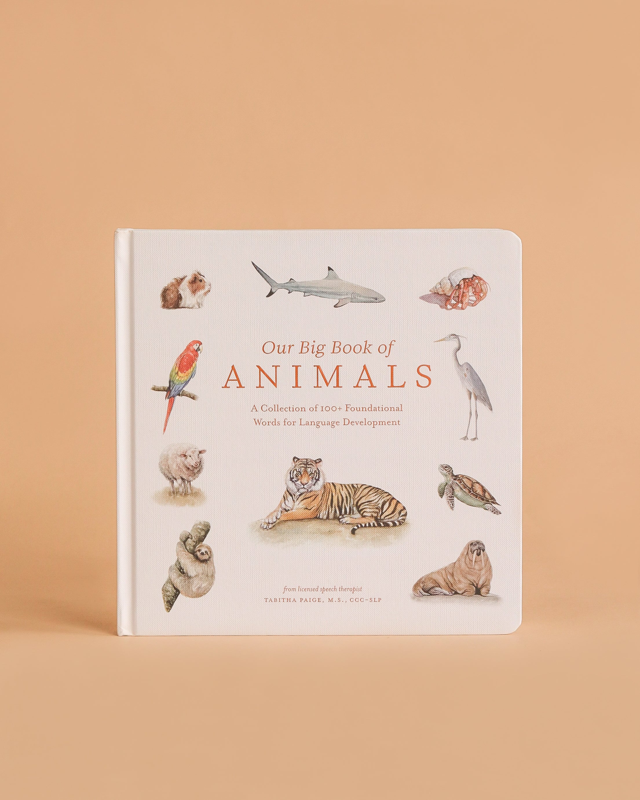 Our Big Book of Animals (Board Book)