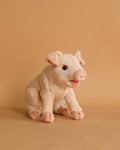 Pig Stuffed Animal