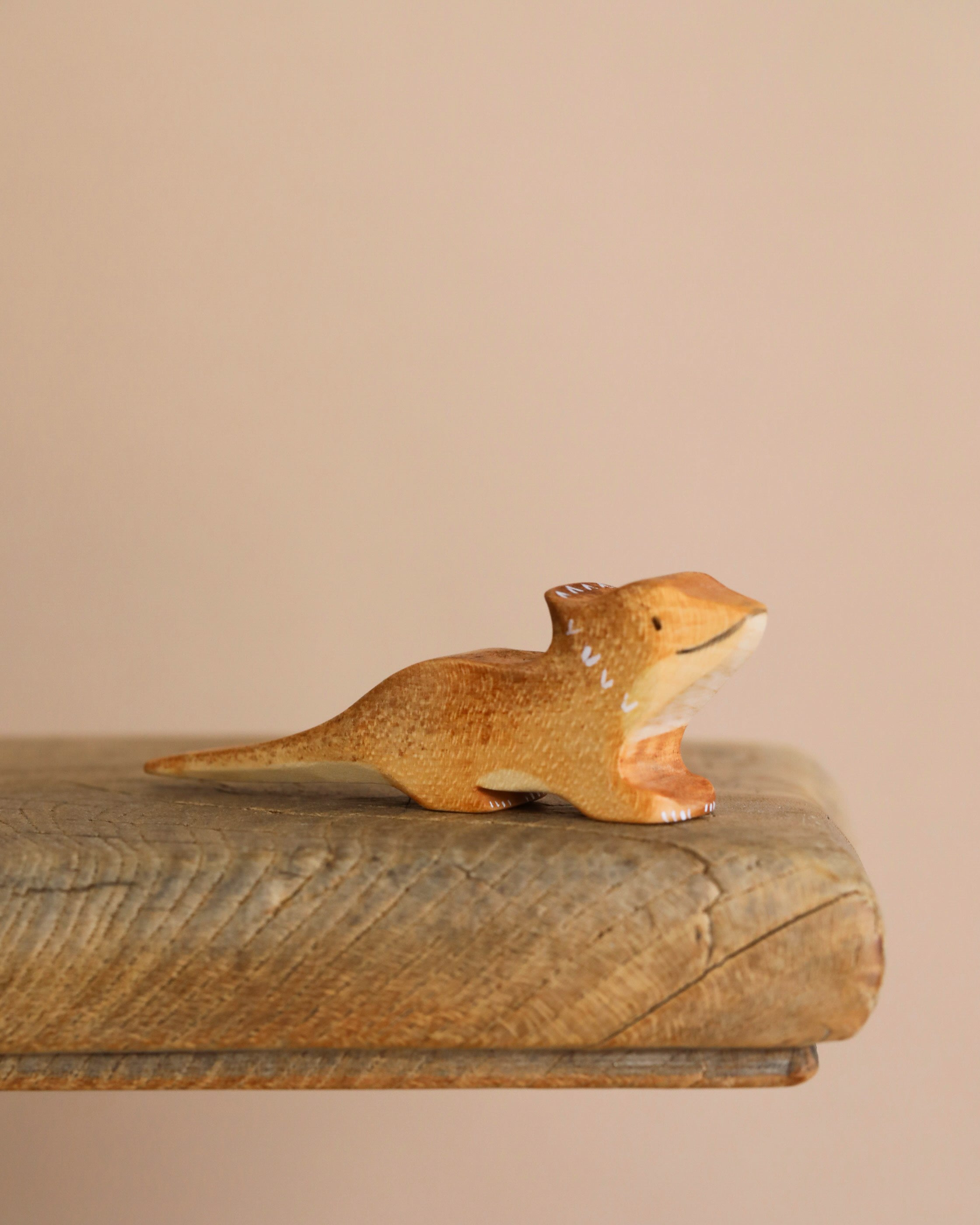 Handmade Wooden Bearded Dragon By Eric & Albert