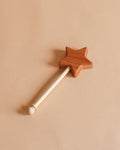 Wooden Star Wand