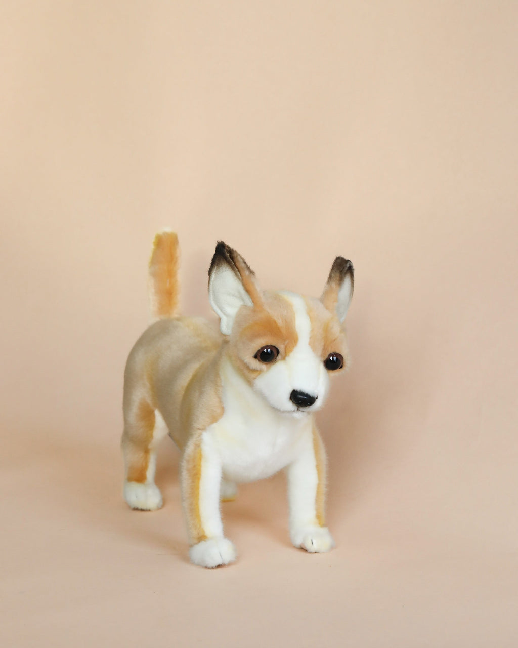 Chihuahua Dog Stuffed Animal (ships in one week)