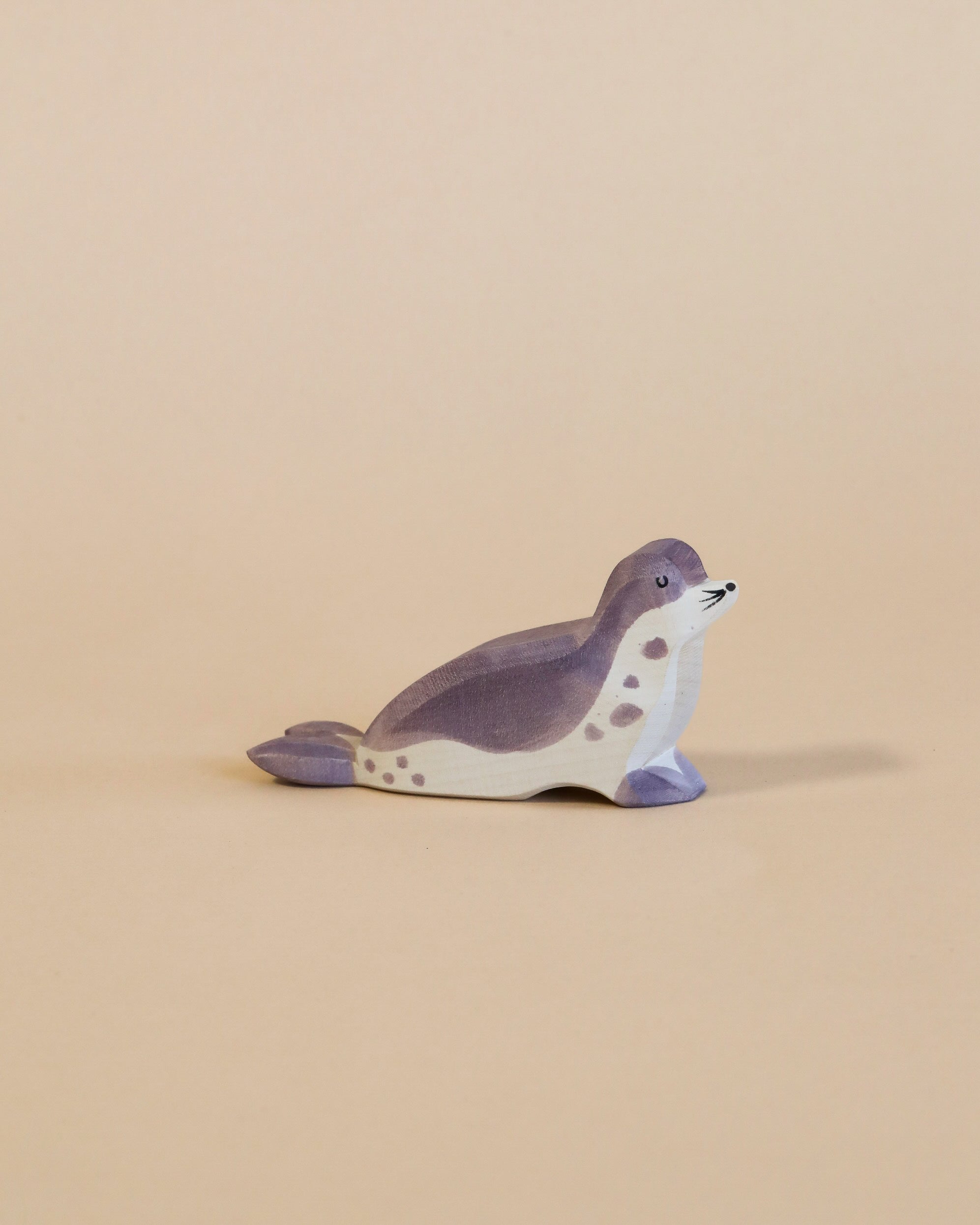 Ostheimer Sea Lion - Head Low