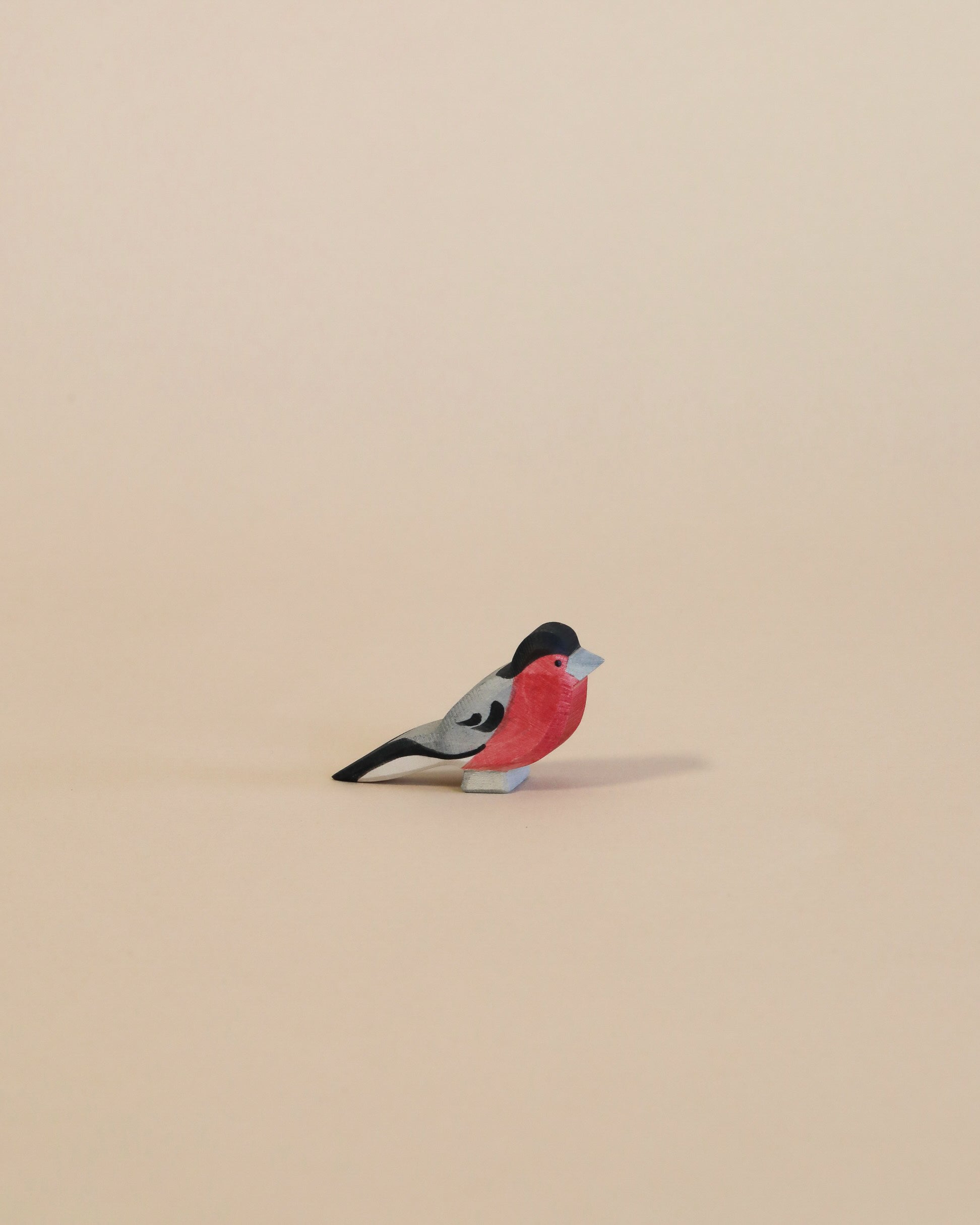Ostheimer Bird - Bullfinch