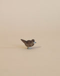 Ostheimer Bird - Sparrow