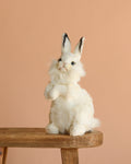 White Bunny Stuffed Animal