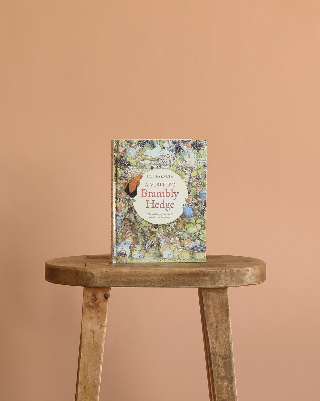 A Visit to Brambly Hedge by Jill Barklem