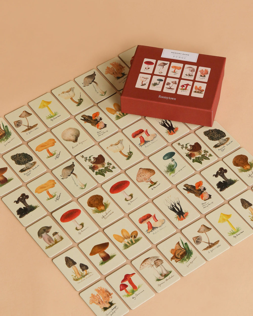 Memory Game - Fungi