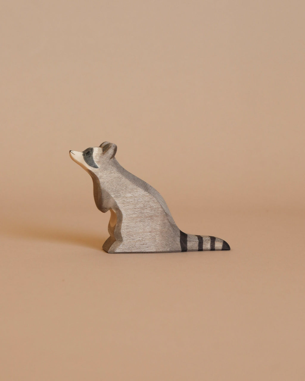 Ostheimer Raccoon - Sitting