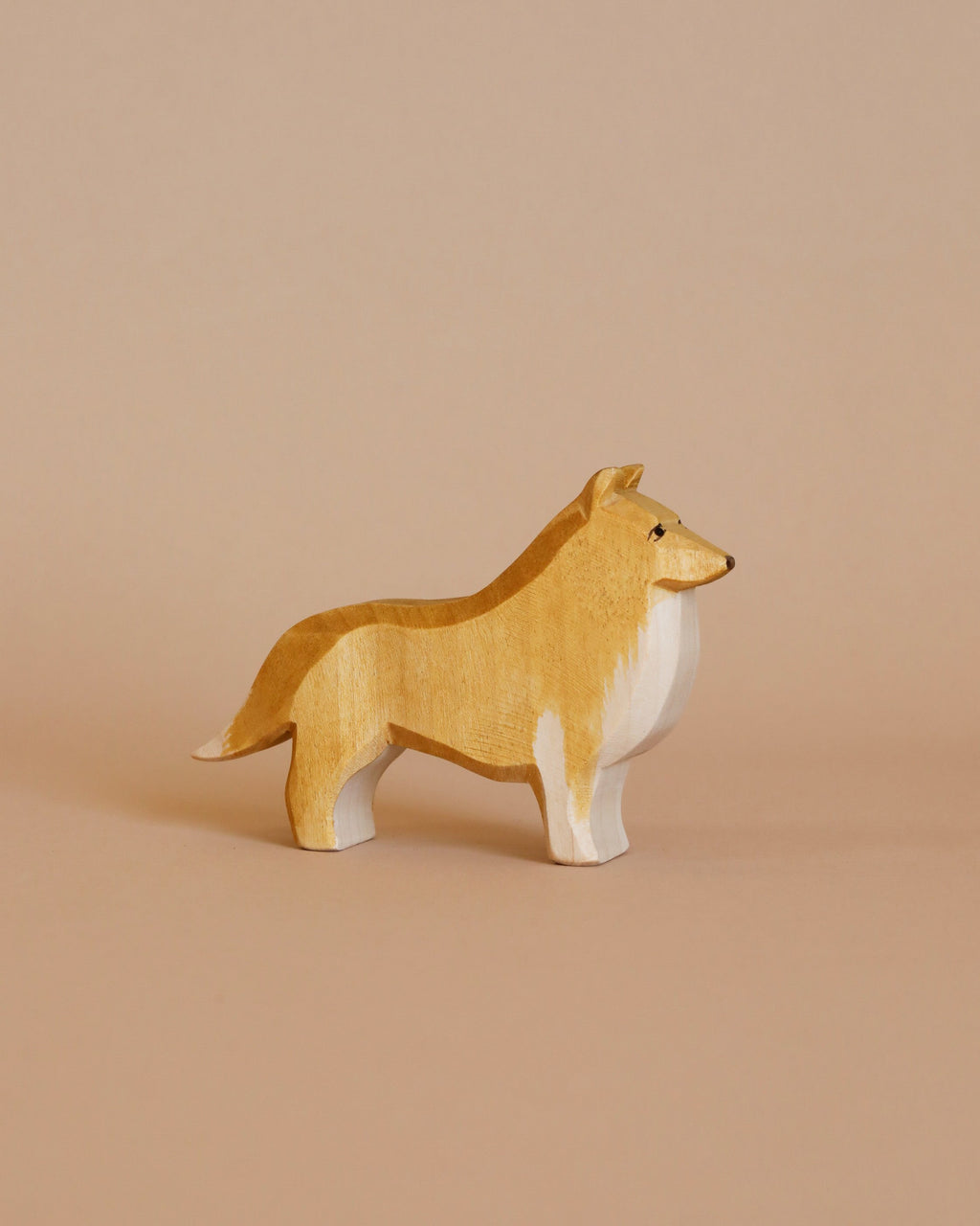 Ostheimer Dog - Collie Dog