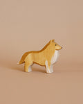 Ostheimer Dog - Collie Dog