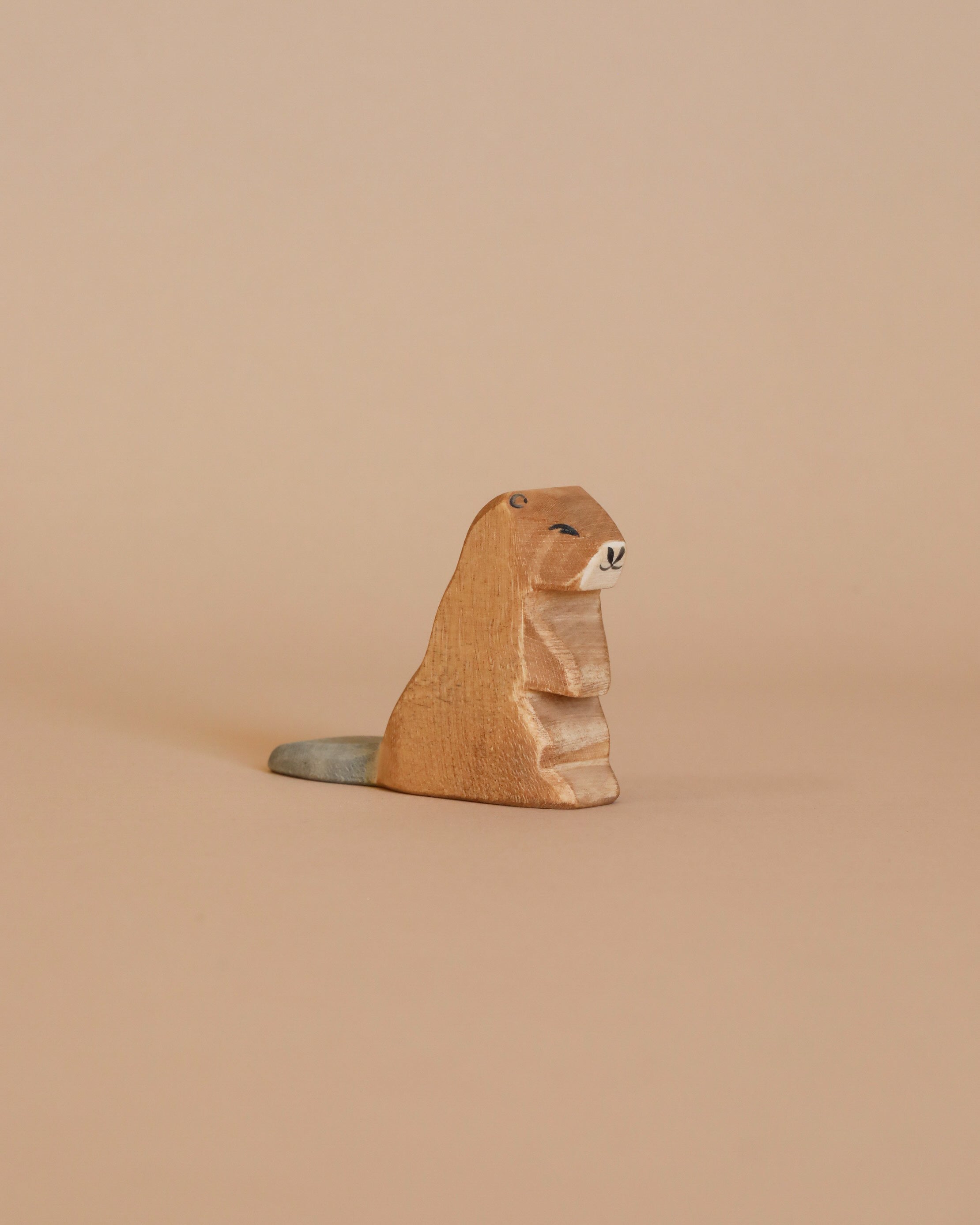 Ostheimer Beaver - Sitting