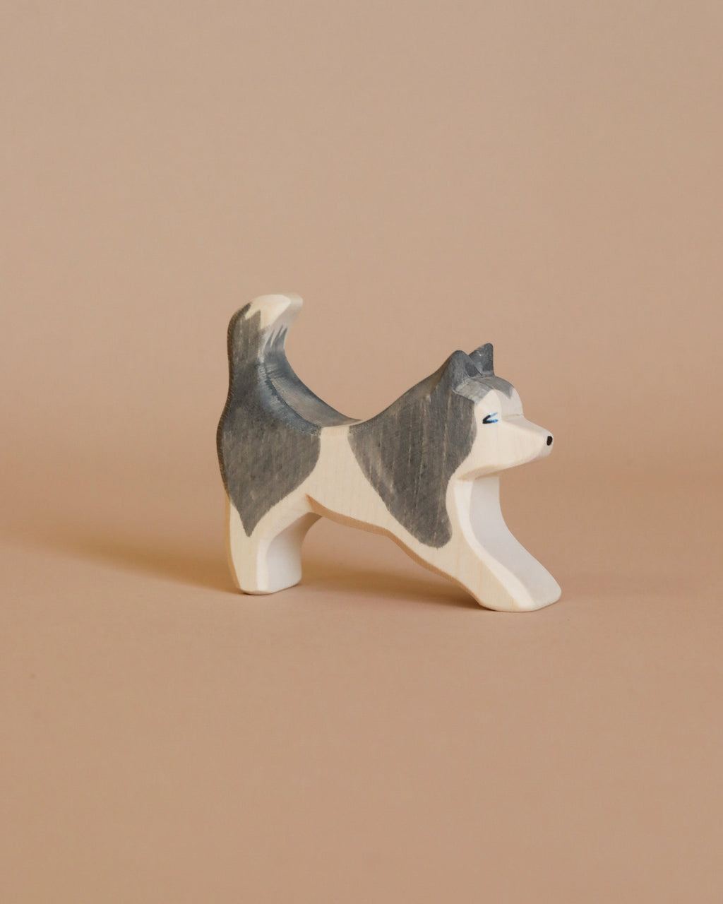 Ostheimer Sled Dog, Running