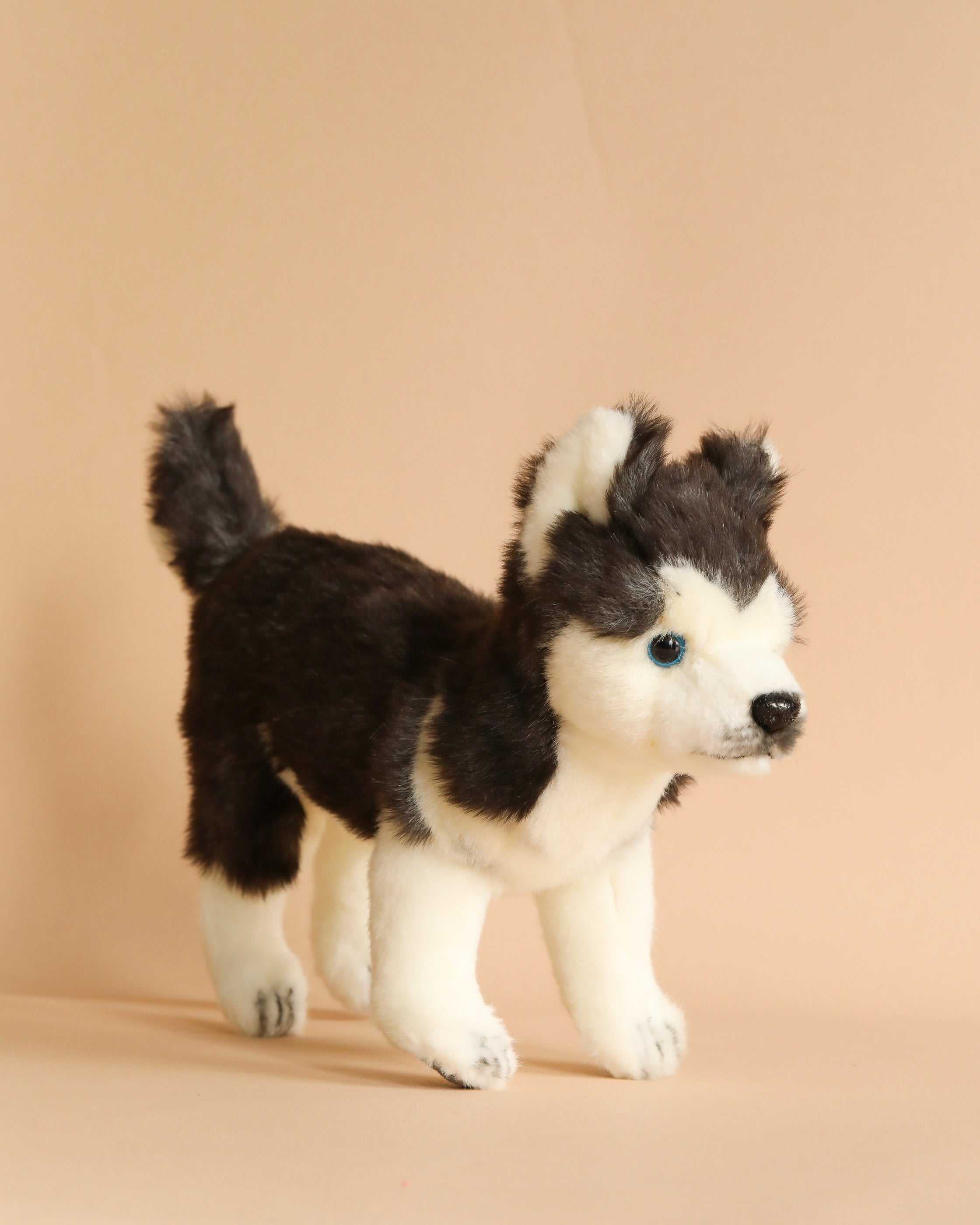 Huskey Puppy Dog Stuffed Animal