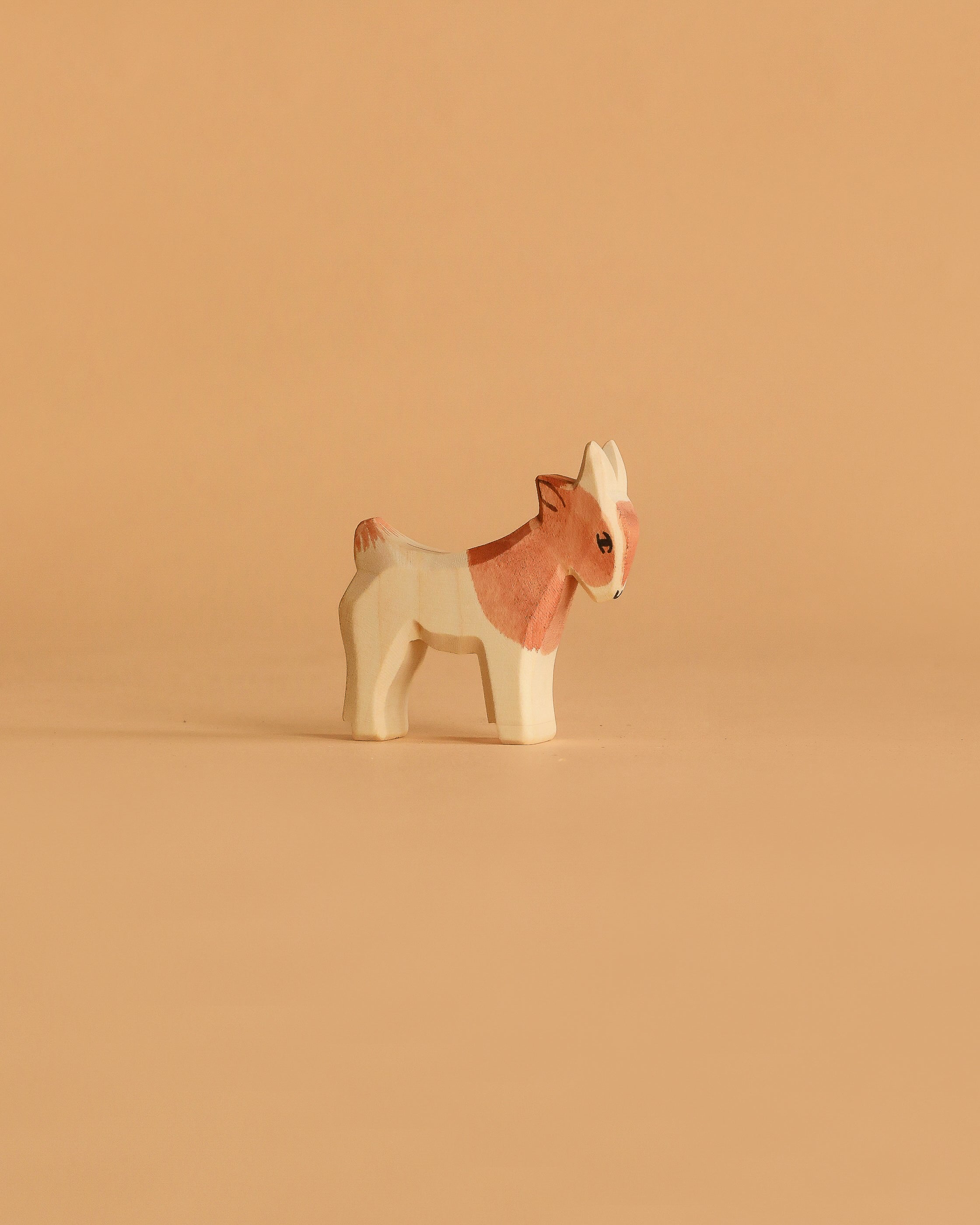 Ostheimer Goat Kid - Standing