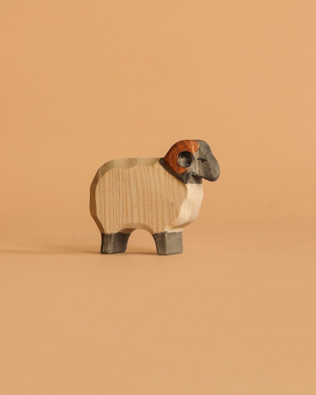 Ostheimer Moorland Ram