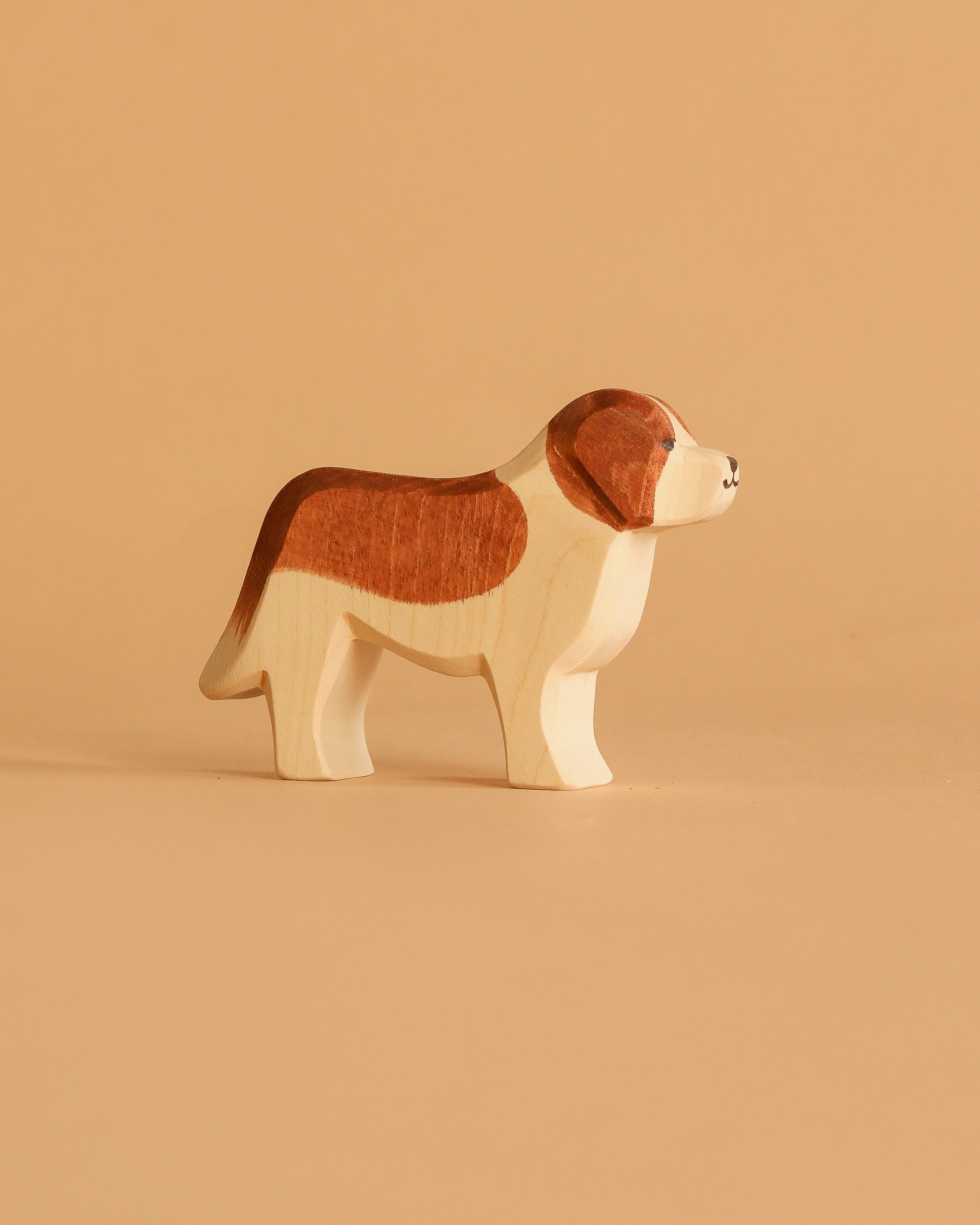 Ostheimer Dog - Saint Bernhard