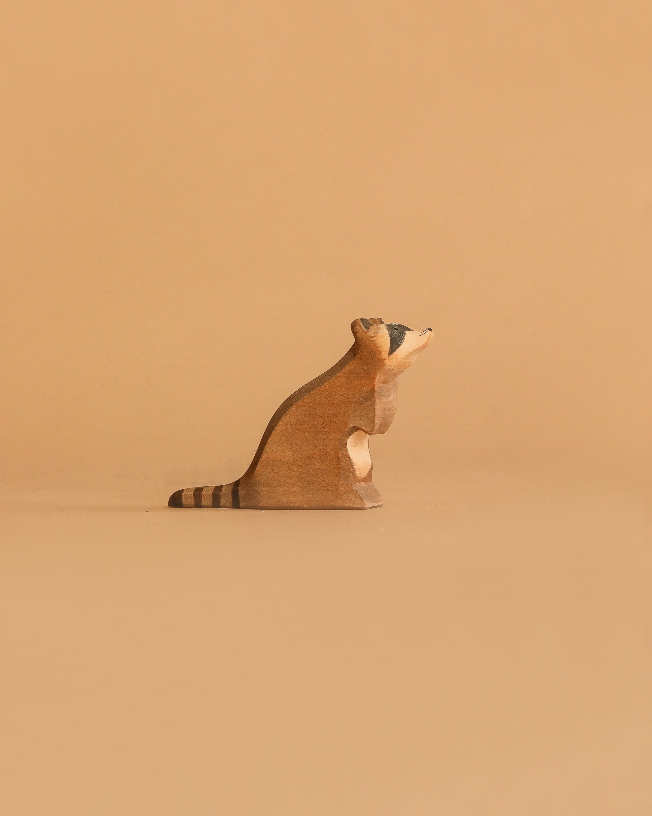 Ostheimer Raccoon - Sitting