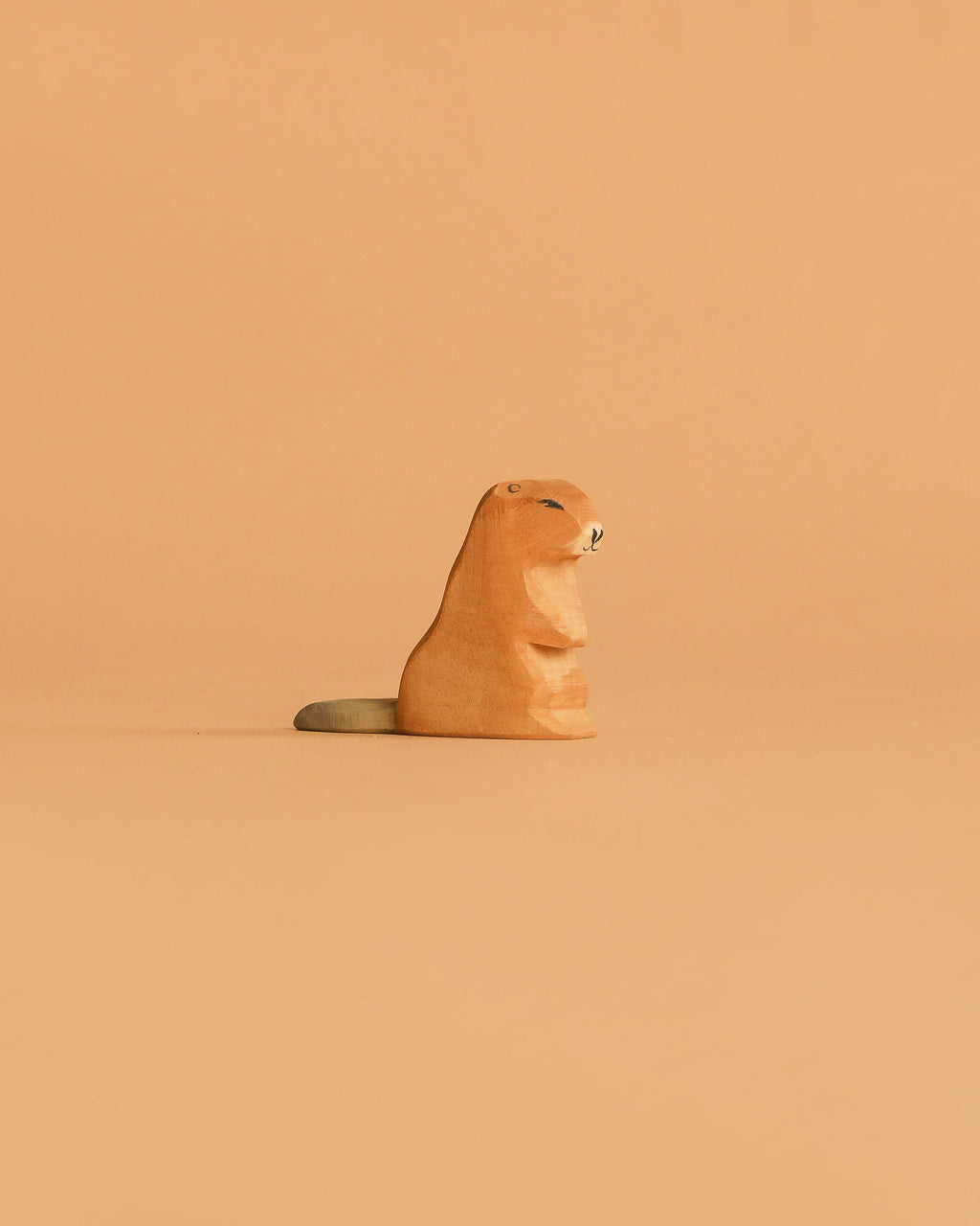 Ostheimer Beaver - Sitting