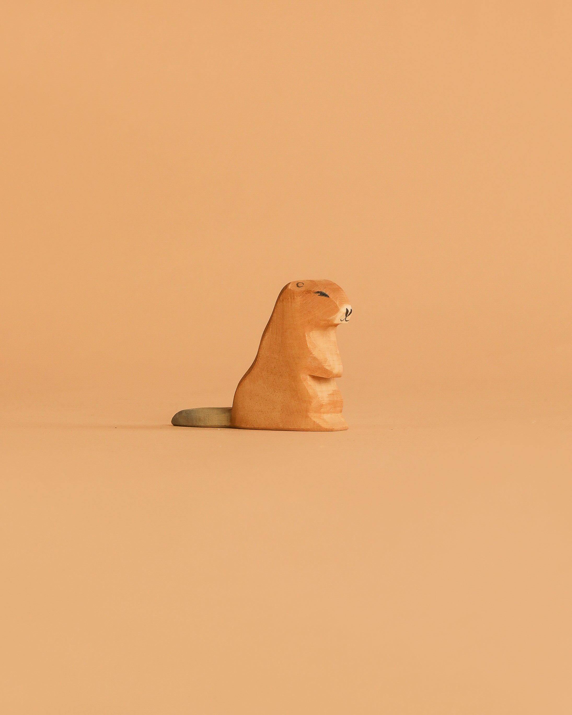Ostheimer Beaver - Sitting
