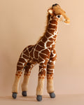 Baby Giraffe Stuffed Animal (ships in one week)