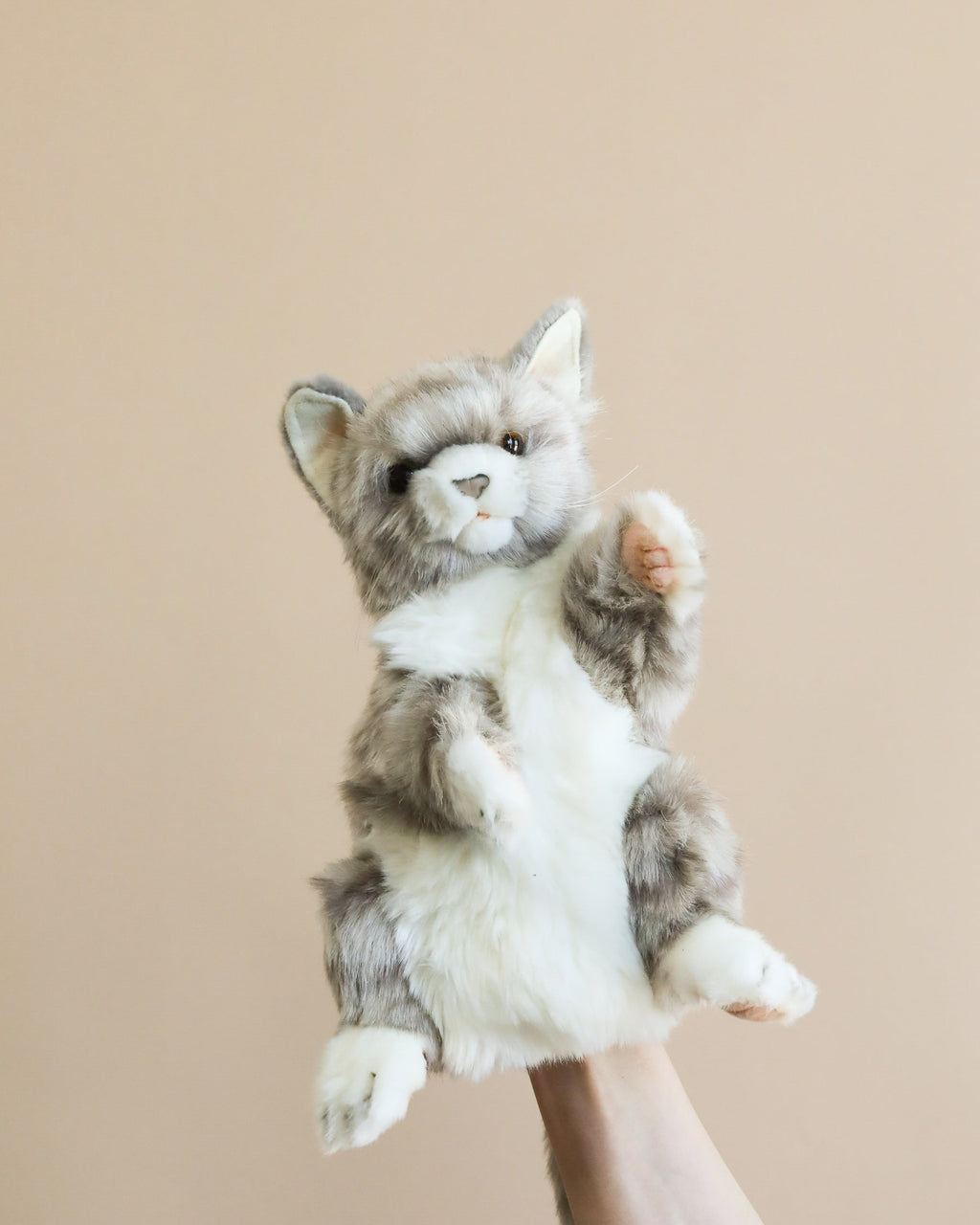 Cat Puppet