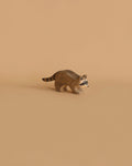 Ostheimer Raccoon Running