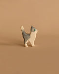 Ostheimer Cat - Gray and White, Head Up