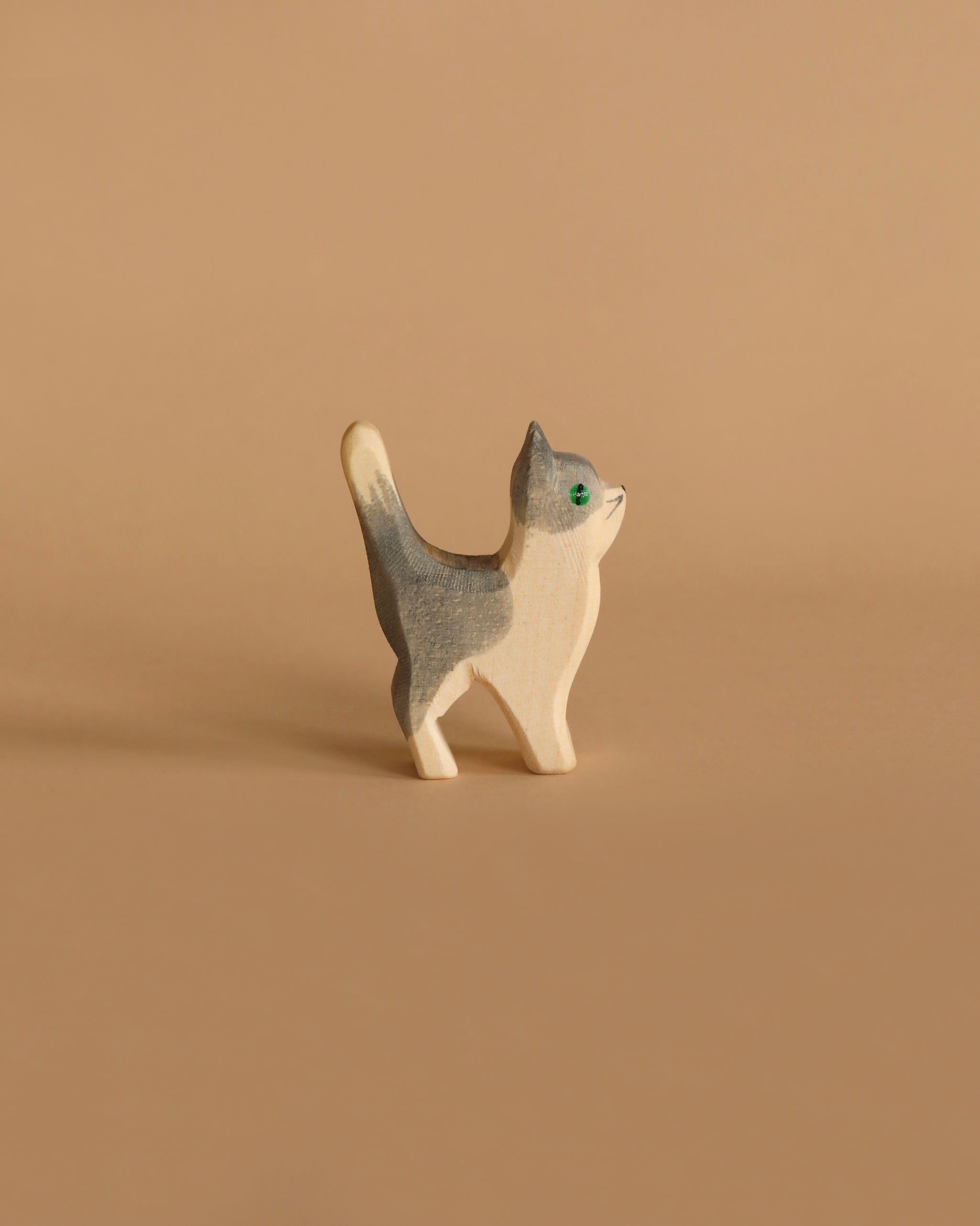 Ostheimer Cat - Gray and White, Head Up