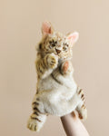 Leopard Cat Puppet