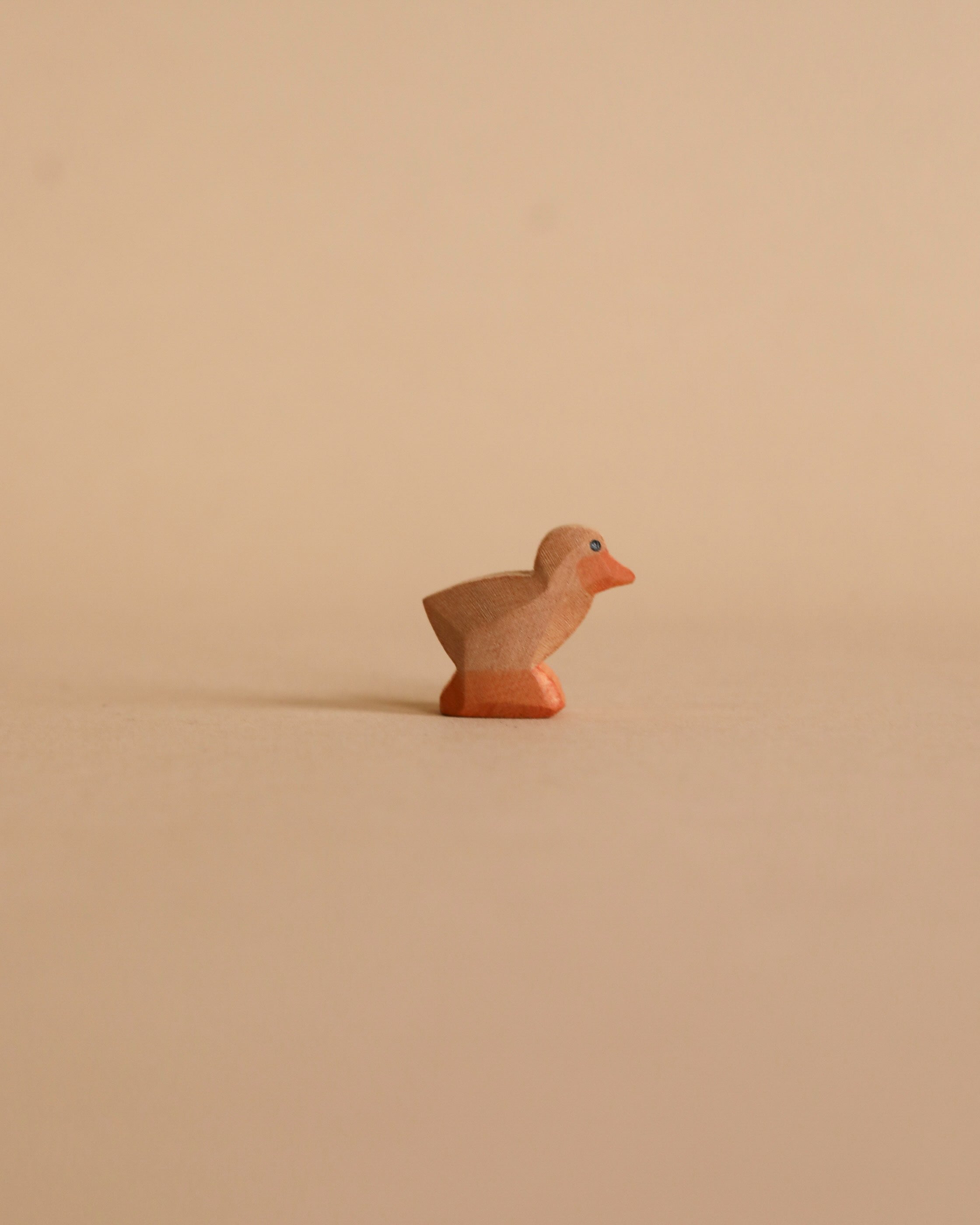 Ostheimer Chick, Brown