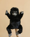 Gorilla Puppet (ships in one week)