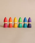 Grapat Rainbow Tomten