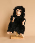 Chimp Puppet