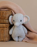 Cuddle + Kind Baby Elephant