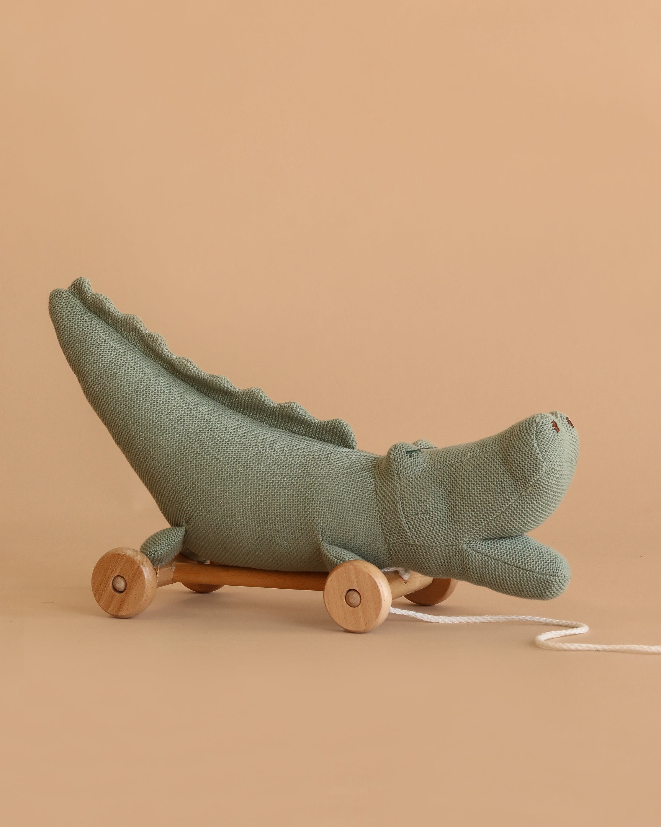 Pull-Along Croc
