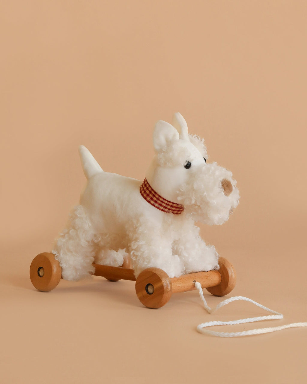 Pull-Along Lola Dog