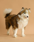 Husky Dog Stuffed Animal (ships in one week)