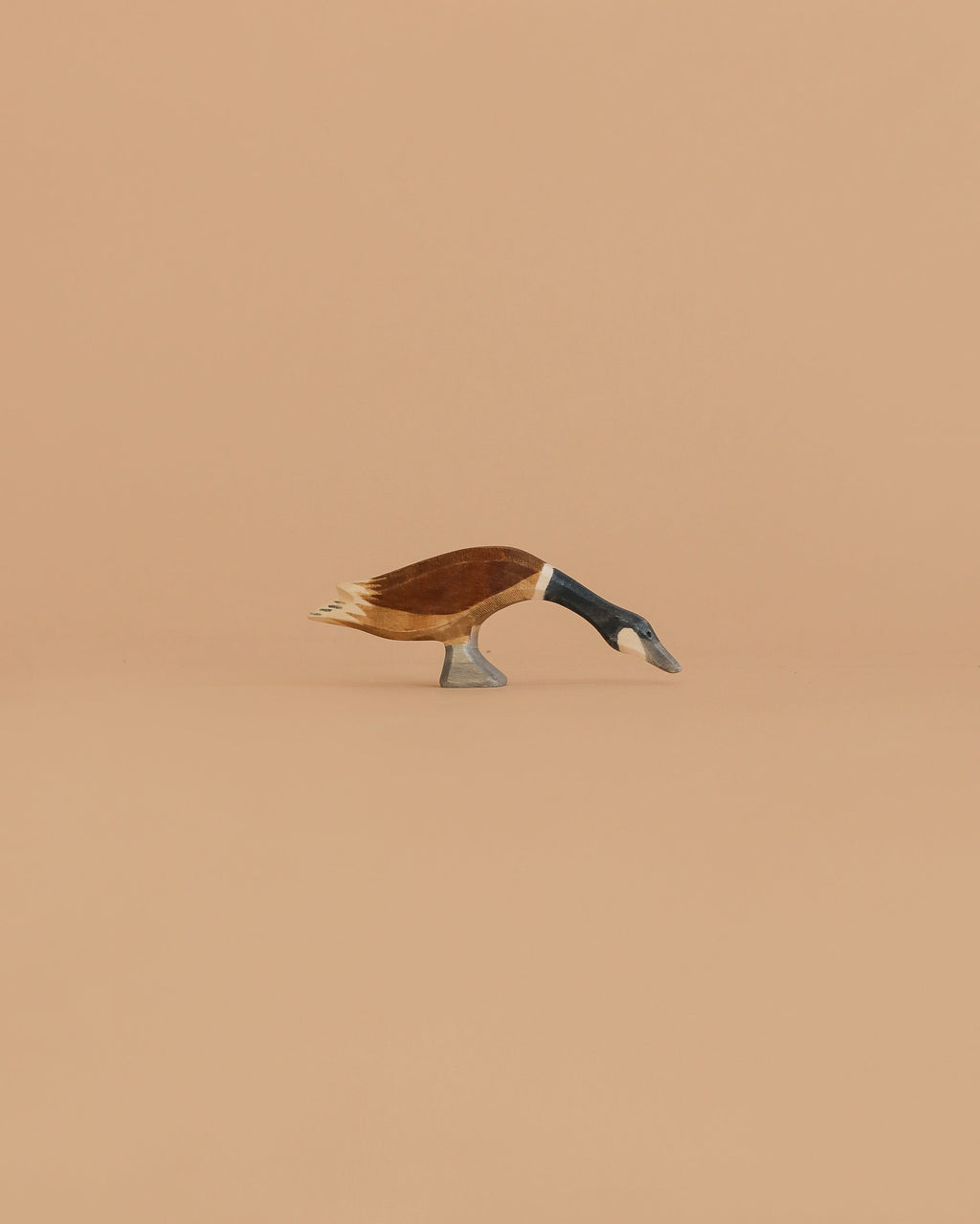 Ostheimer Goose - Canada, Long Neck