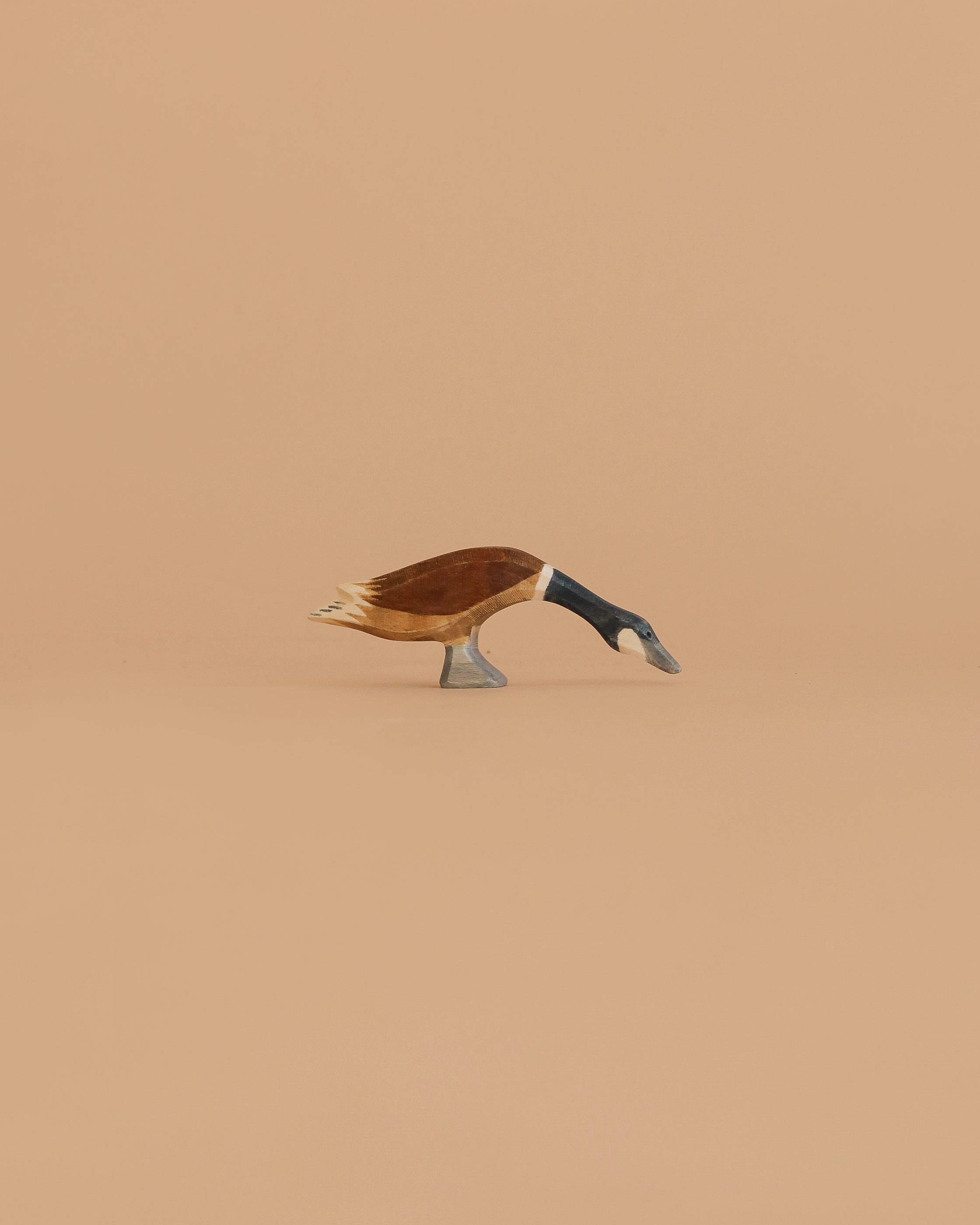 Ostheimer Goose - Canada, Long Neck